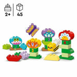 V4HA6A7C4A213AC00D1E323E56DA0B190DFR5393468P2